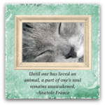Free Cat Sympathy Cards You Can Print &amp; Send Today - Simple Sympathy